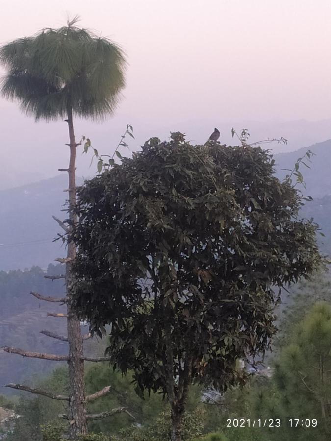 Mangalmurti Himalyan Homestay Hawalbagh エクステリア 写真